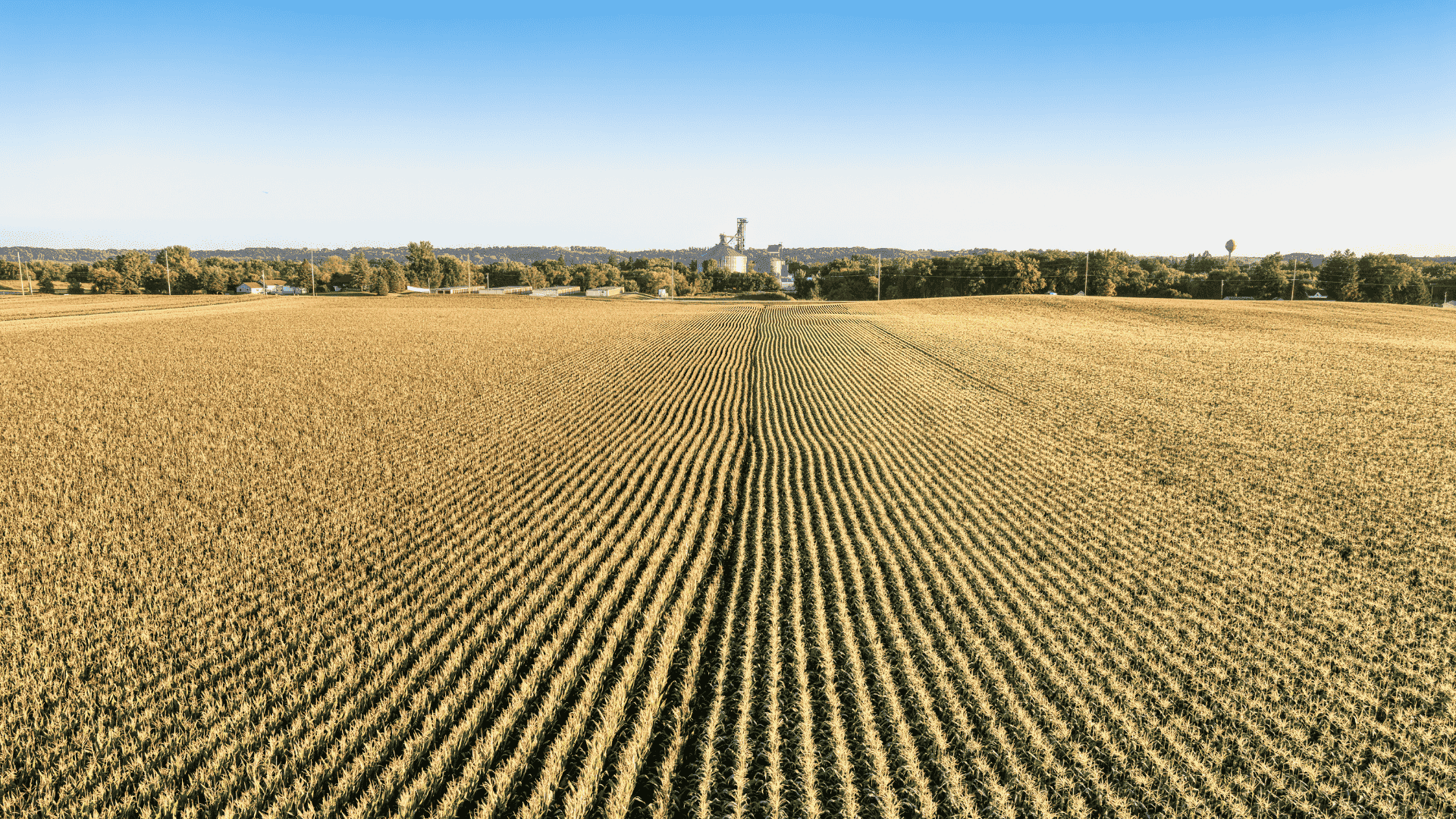 Join the team at Heartland