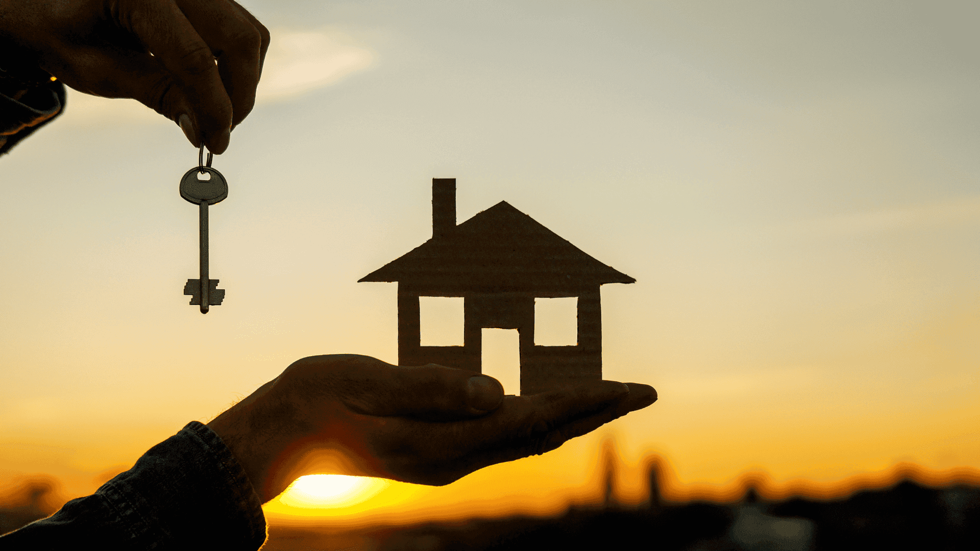 Property Brokers hire new Chief Operating Officer