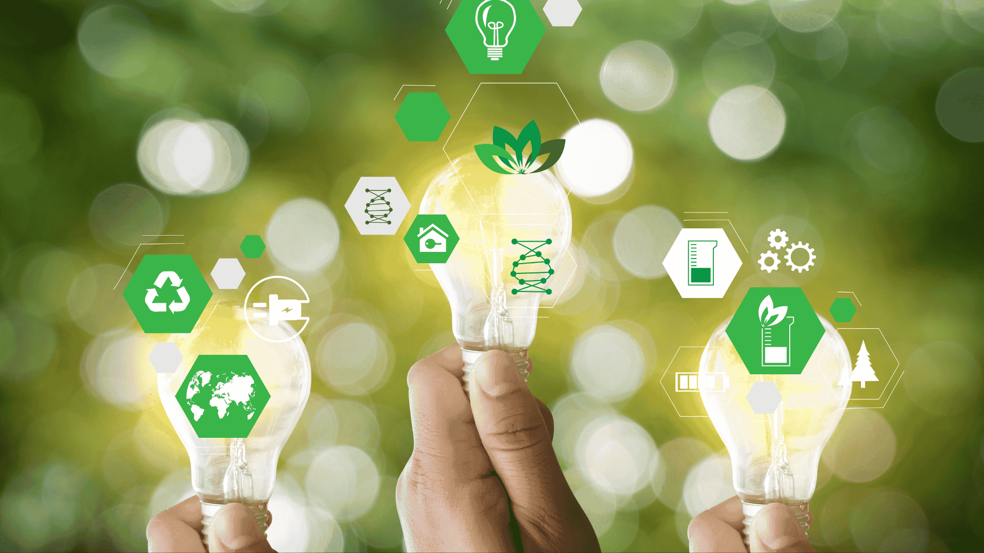 Creating a More Sustainable Workplace at Tribe