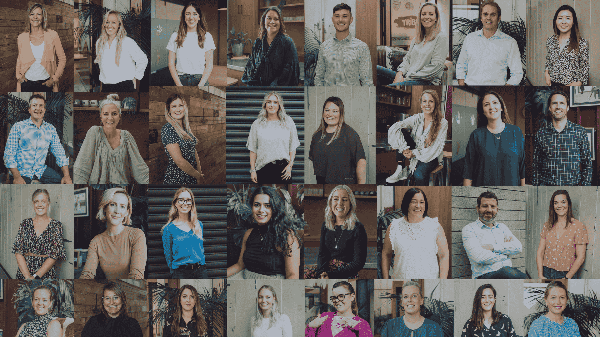 Tribe & CCNNZ on today's Talent Shortage