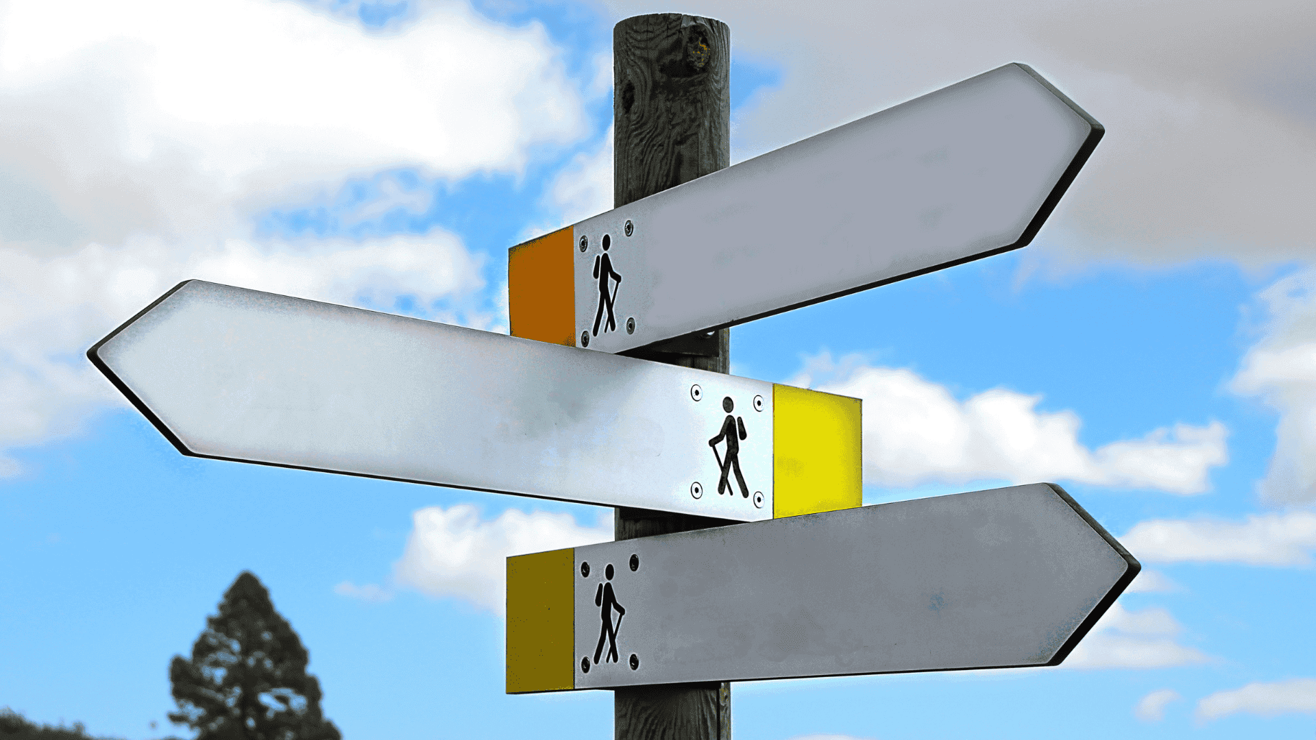 Career pivoting and choosing your path - Lidya's story