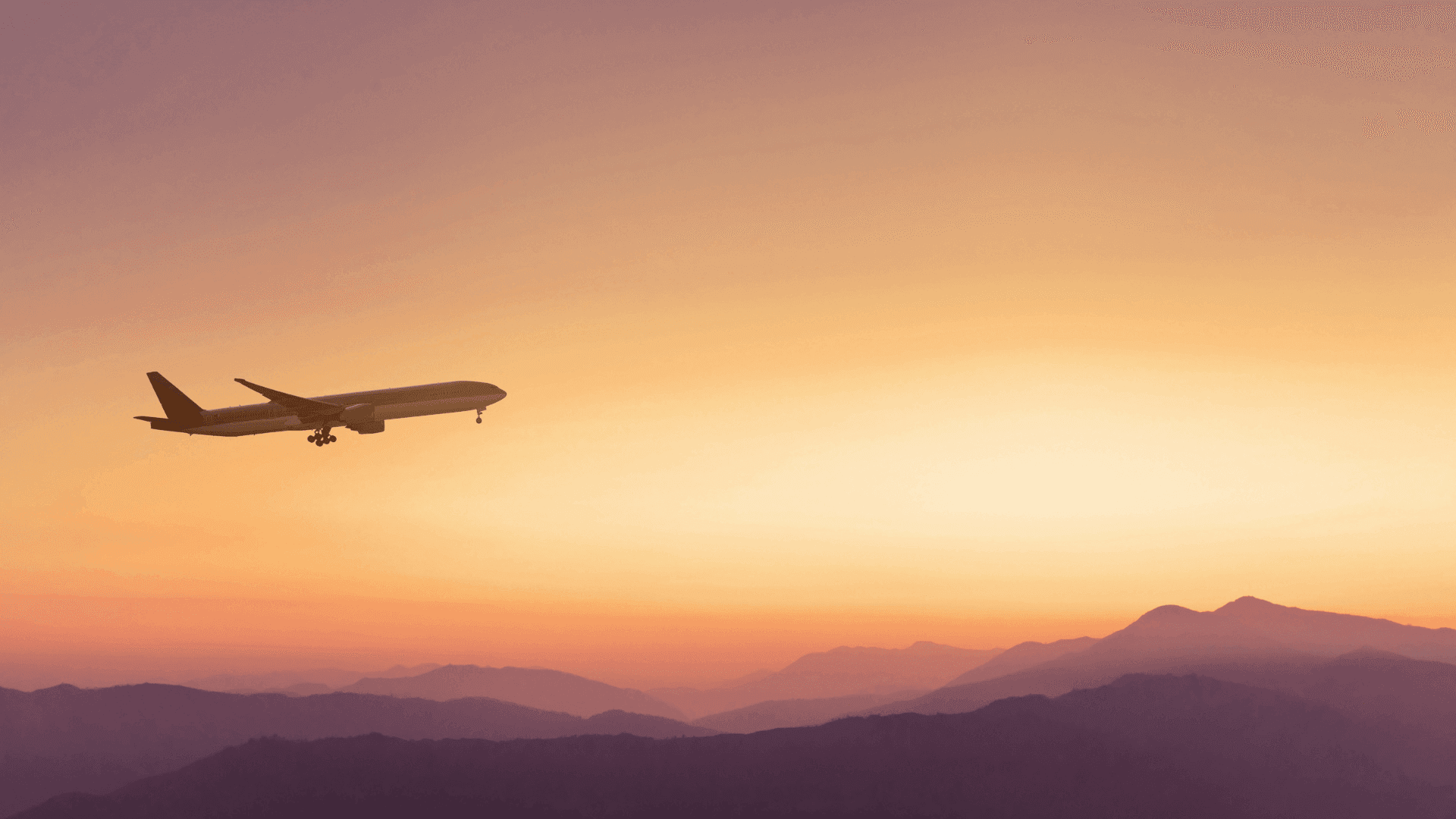 Southern Cross Travel Insurance hire new Chief Customer Officer