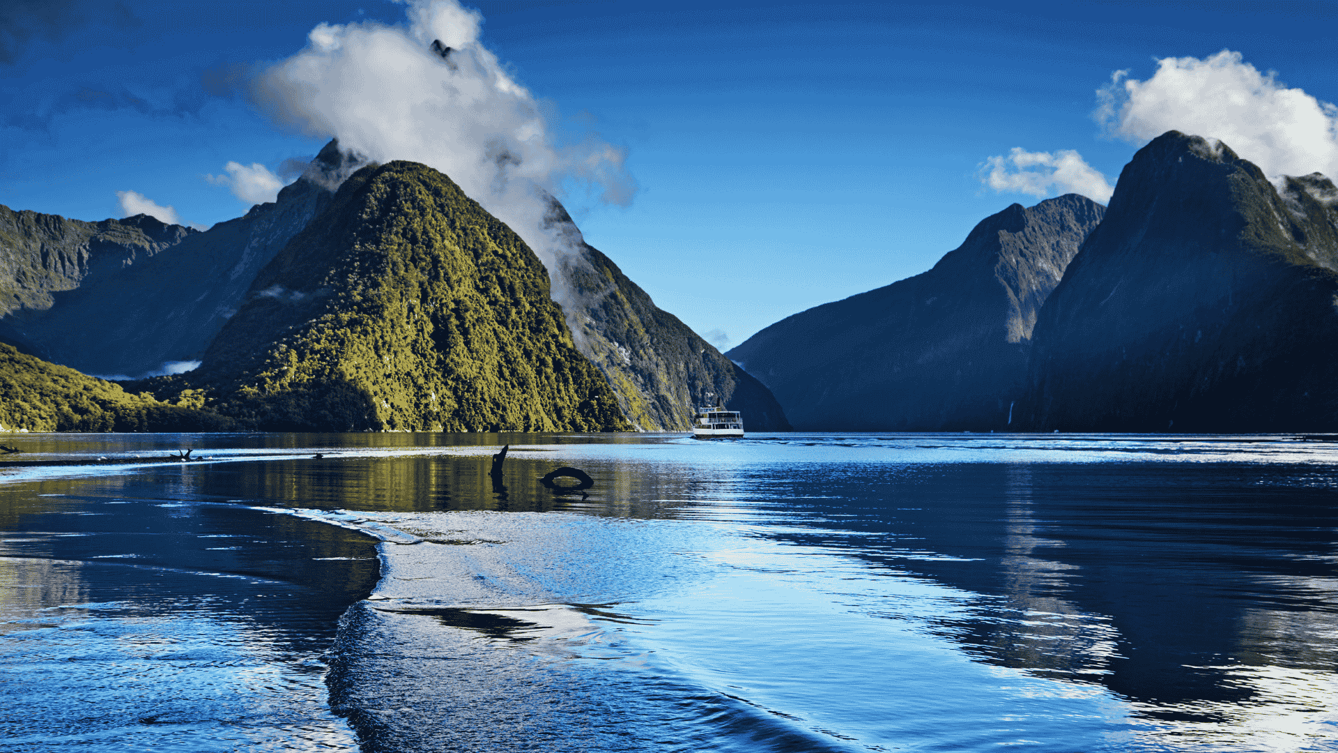 The 'New' New Zealand