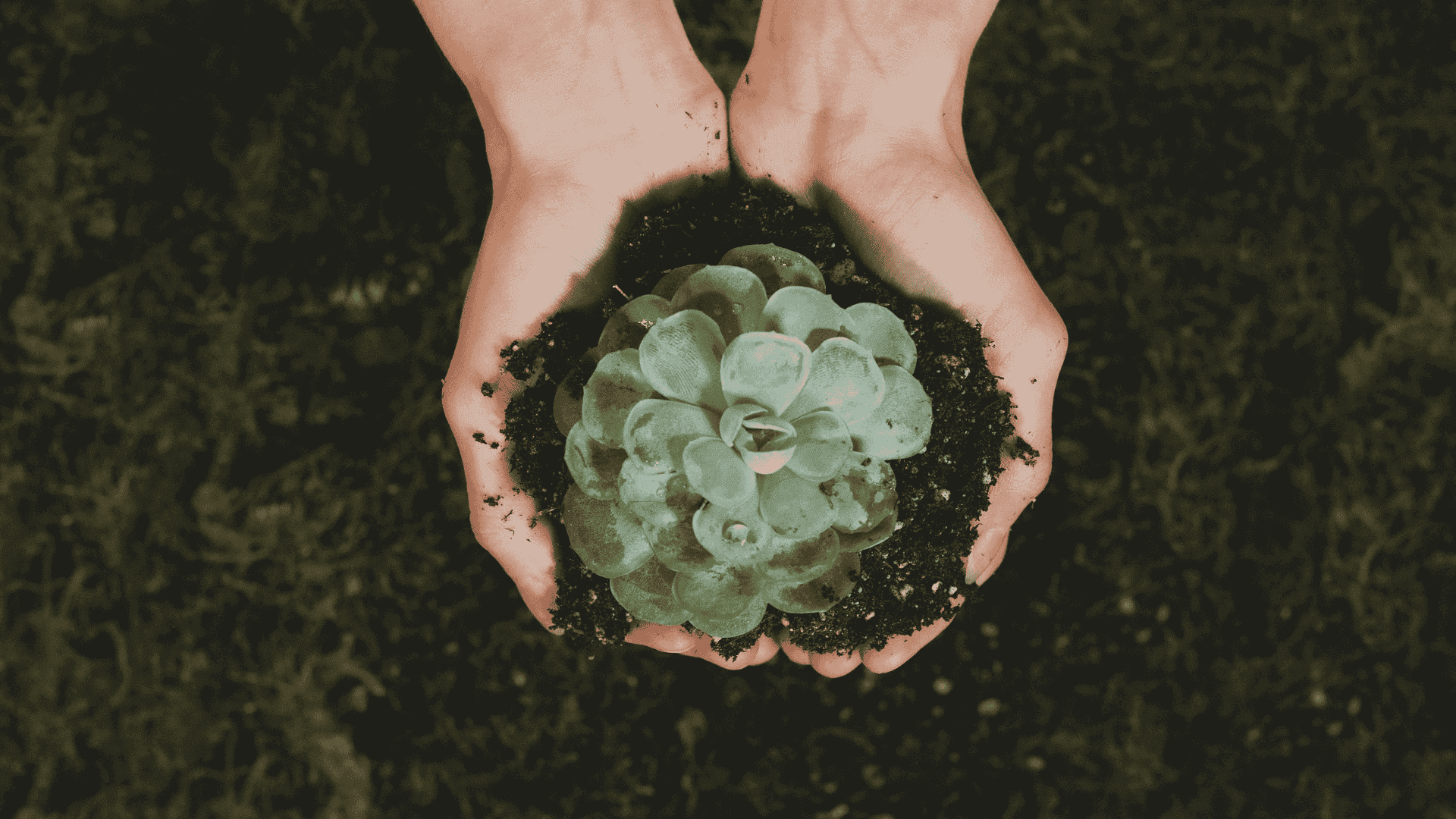 Beyond the Green Bin – Sustainable Workplaces
