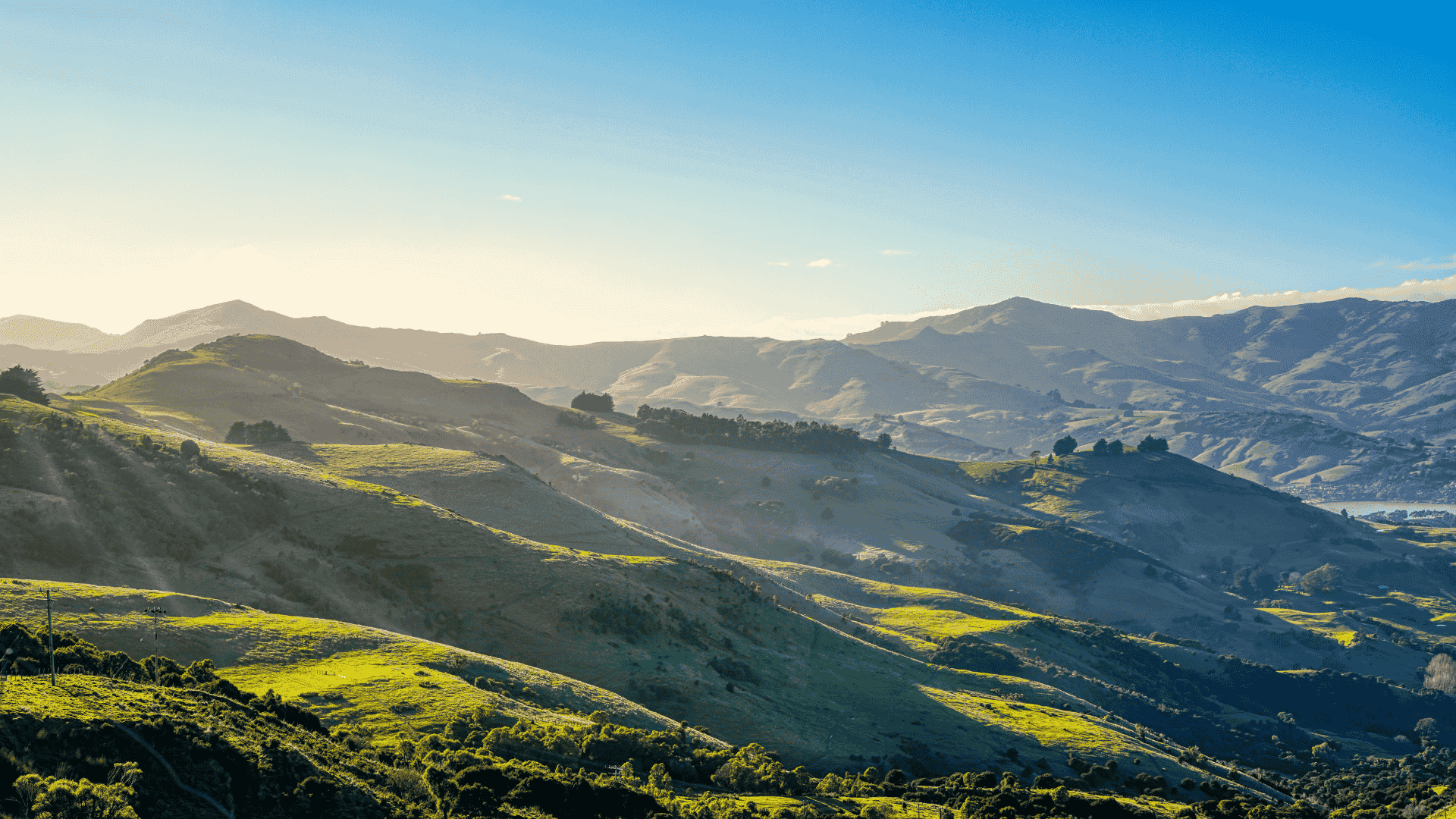 Yealands - General Manager Viticulture and Winery