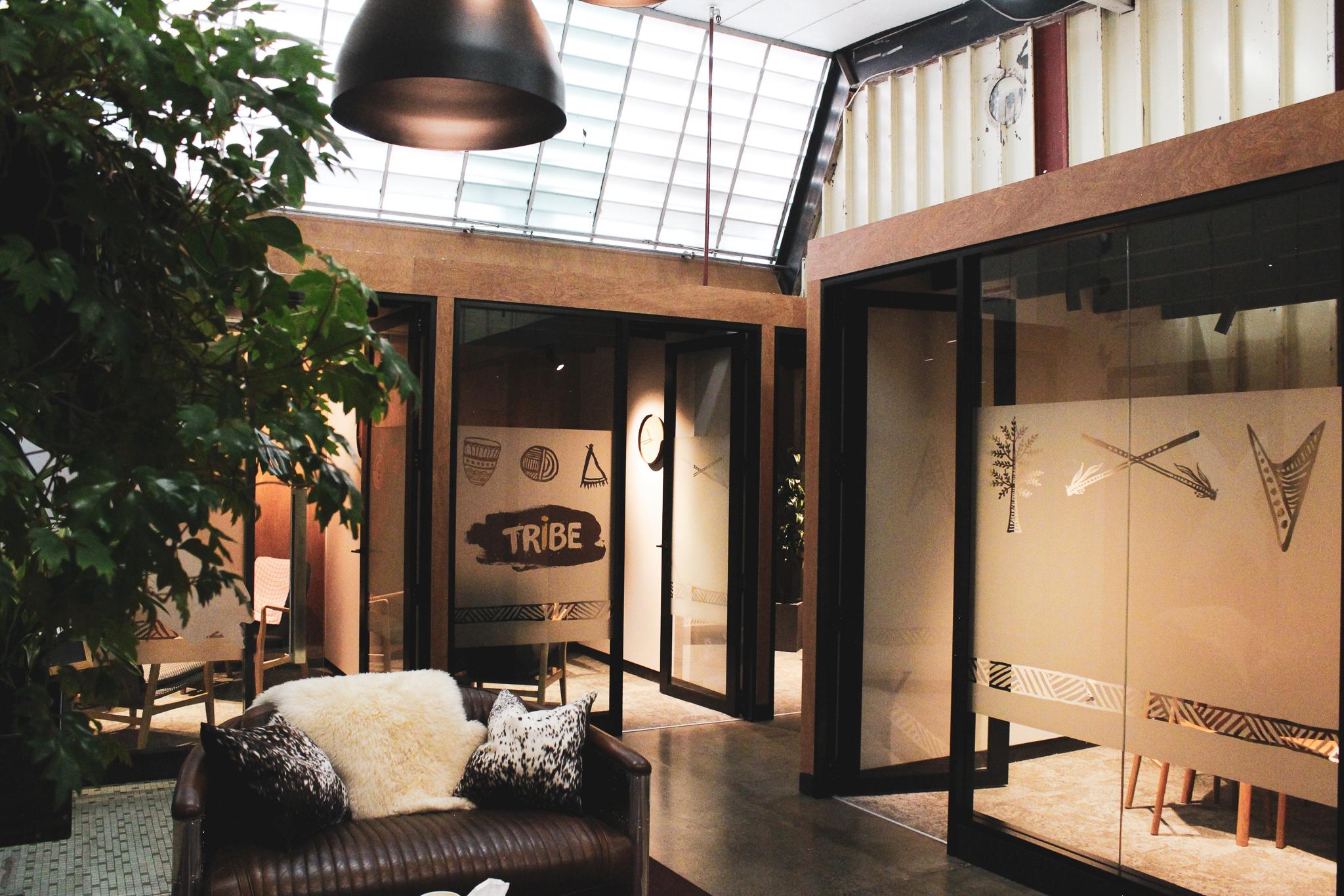 Tribe launches: 2014