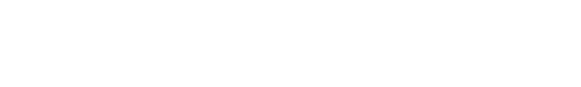 Rocket Foods logo