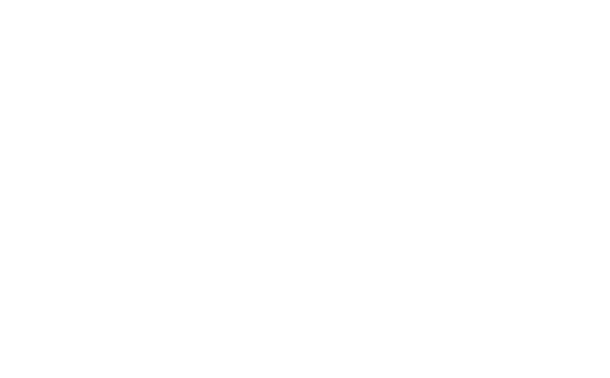 Safe Network logo