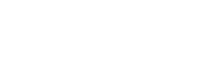 Te Matatini logo