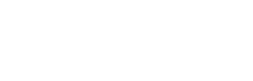 Momentum Life logo