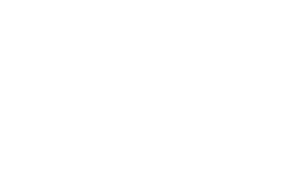 Ziwi logo