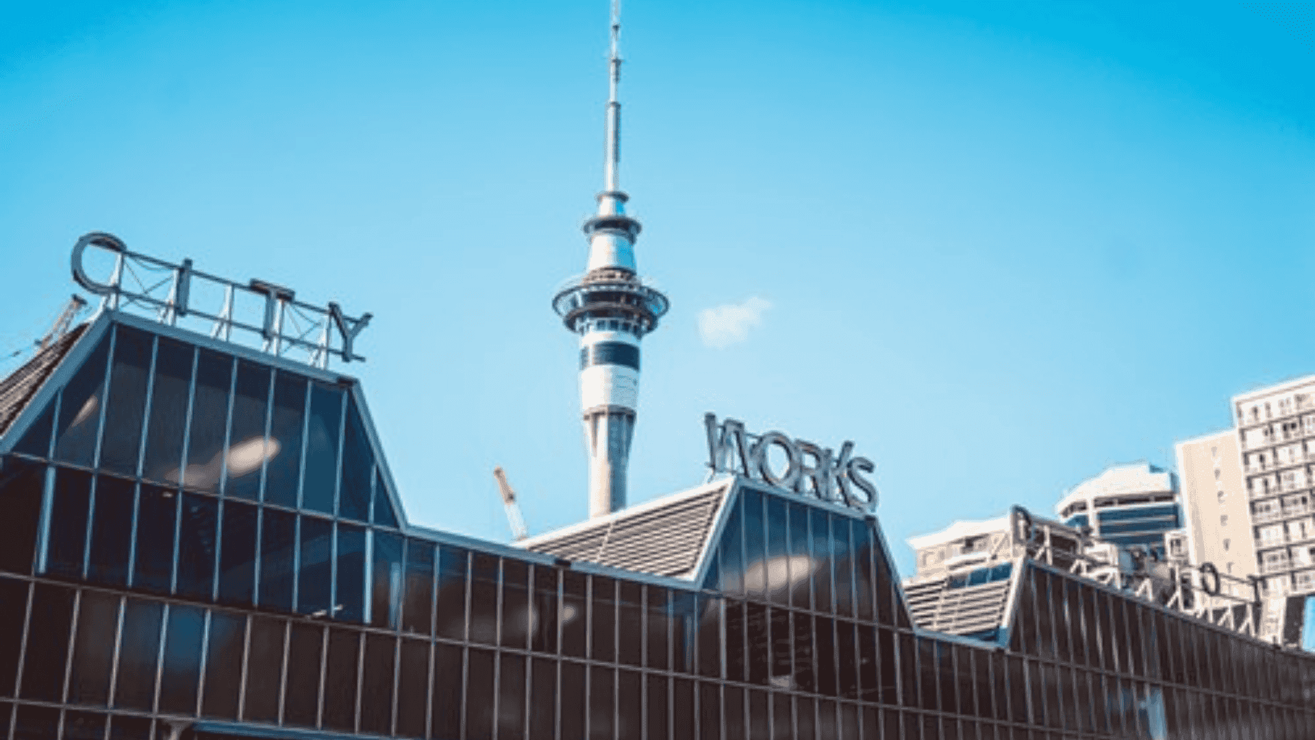 What's your highlight for 2019