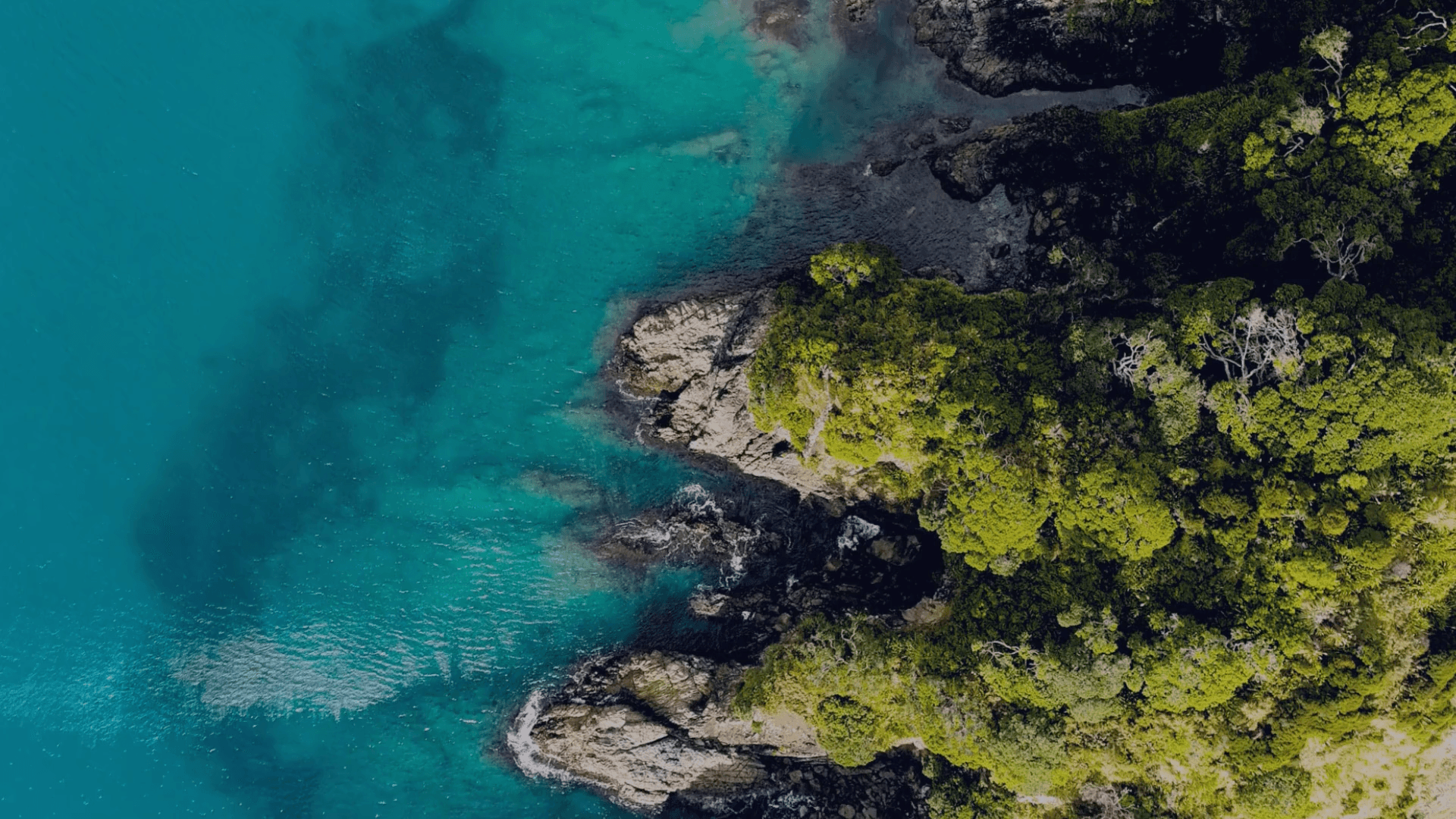 Statistics background