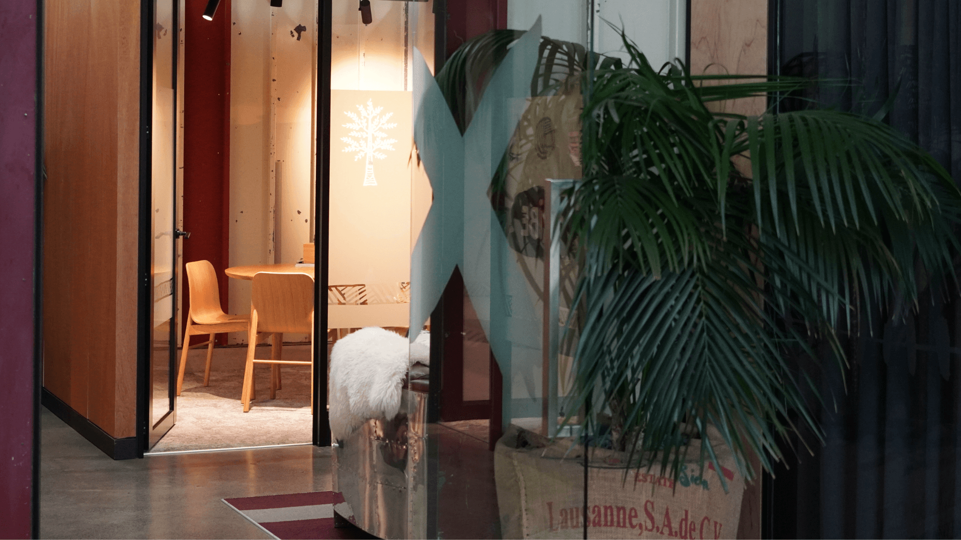 Navigating Perimenopause: A Professional Woman's Personal Journey