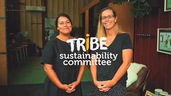 Watch: Creating a More Sustainable Workplace at Tribe image