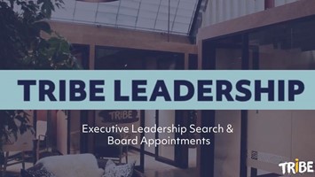 Tribe Leadership - Finding the right fit for the board image